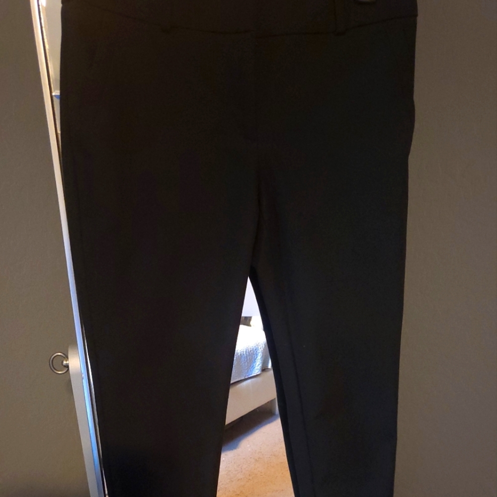 Loft pants